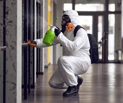 Reliable St Joseph, IL Mold Removal Solutions